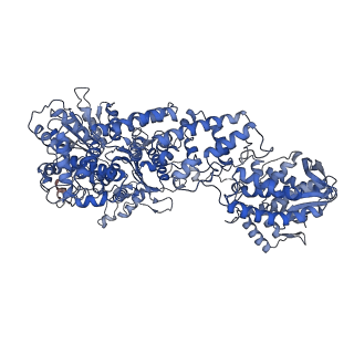 3460_5mbv_C_v1-3
Cryo-EM structure of Lambda Phage protein GamS bound to RecBCD.