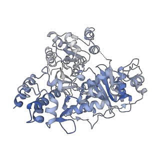 3460_5mbv_D_v1-3
Cryo-EM structure of Lambda Phage protein GamS bound to RecBCD.