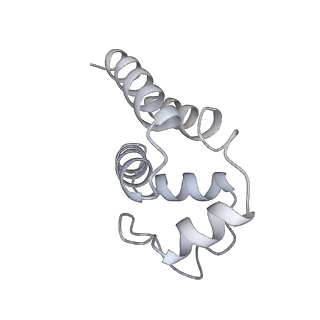9064_6mb2_A_v1-0
Cryo-EM structure of the PYD filament of AIM2
