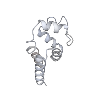 9064_6mb2_B_v1-0
Cryo-EM structure of the PYD filament of AIM2