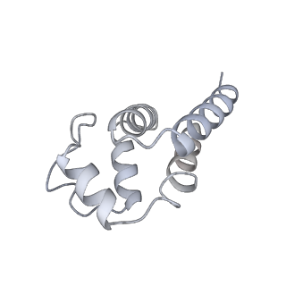 9064_6mb2_C_v1-0
Cryo-EM structure of the PYD filament of AIM2