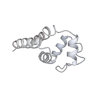 9064_6mb2_D_v1-0
Cryo-EM structure of the PYD filament of AIM2