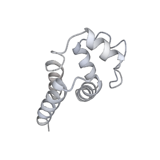 9064_6mb2_G_v1-0
Cryo-EM structure of the PYD filament of AIM2