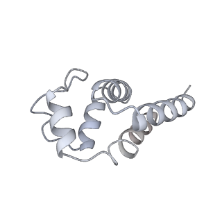 9064_6mb2_H_v1-0
Cryo-EM structure of the PYD filament of AIM2