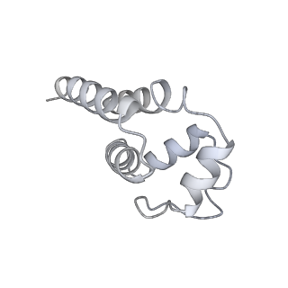 9064_6mb2_I_v1-0
Cryo-EM structure of the PYD filament of AIM2