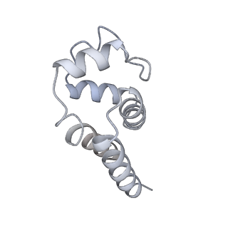 9064_6mb2_J_v1-0
Cryo-EM structure of the PYD filament of AIM2