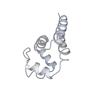 9064_6mb2_K_v1-0
Cryo-EM structure of the PYD filament of AIM2