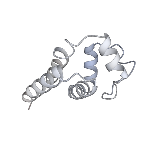 9064_6mb2_L_v1-0
Cryo-EM structure of the PYD filament of AIM2