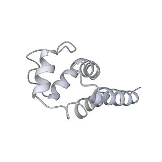 9064_6mb2_M_v1-0
Cryo-EM structure of the PYD filament of AIM2