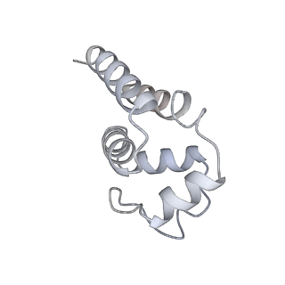 9064_6mb2_N_v1-0
Cryo-EM structure of the PYD filament of AIM2