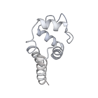 9064_6mb2_O_v1-0
Cryo-EM structure of the PYD filament of AIM2