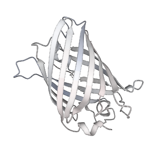 9064_6mb2_a_v1-0
Cryo-EM structure of the PYD filament of AIM2