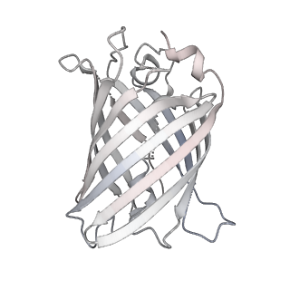 9064_6mb2_b_v1-0
Cryo-EM structure of the PYD filament of AIM2