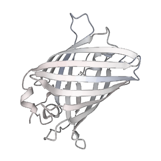 9064_6mb2_c_v1-0
Cryo-EM structure of the PYD filament of AIM2