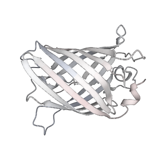 9064_6mb2_d_v1-0
Cryo-EM structure of the PYD filament of AIM2