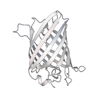 9064_6mb2_f_v1-0
Cryo-EM structure of the PYD filament of AIM2