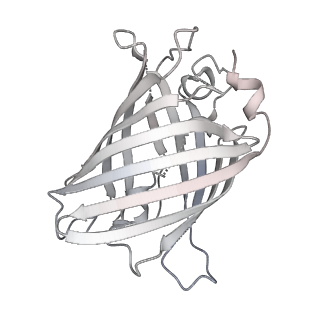 9064_6mb2_g_v1-0
Cryo-EM structure of the PYD filament of AIM2