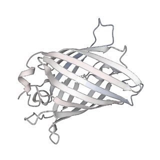9064_6mb2_h_v1-0
Cryo-EM structure of the PYD filament of AIM2
