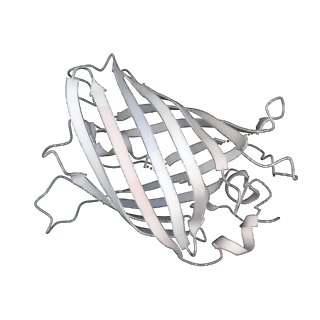 9064_6mb2_i_v1-0
Cryo-EM structure of the PYD filament of AIM2