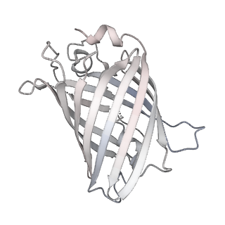 9064_6mb2_j_v1-0
Cryo-EM structure of the PYD filament of AIM2