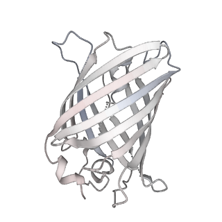 9064_6mb2_k_v1-0
Cryo-EM structure of the PYD filament of AIM2