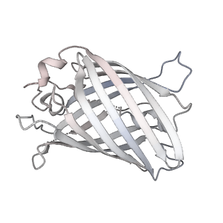 9064_6mb2_m_v1-0
Cryo-EM structure of the PYD filament of AIM2