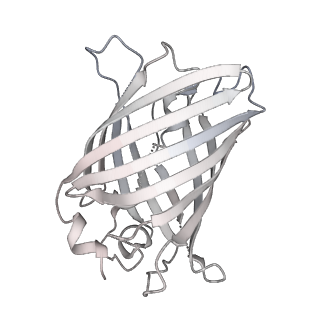 9064_6mb2_o_v1-0
Cryo-EM structure of the PYD filament of AIM2