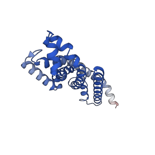 23752_7mc0_A_v1-1
Inward facing conformation of the MetNI methionine ABC transporter