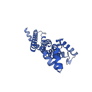 23752_7mc0_B_v1-1
Inward facing conformation of the MetNI methionine ABC transporter