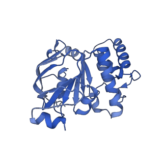 23752_7mc0_C_v1-1
Inward facing conformation of the MetNI methionine ABC transporter