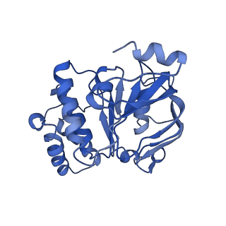 23752_7mc0_D_v1-1
Inward facing conformation of the MetNI methionine ABC transporter