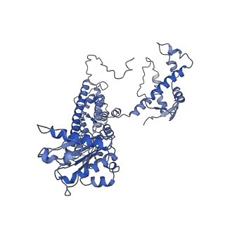 23755_7mca_C_v1-1
Structure of the S. cerevisiae origin recognition complex bound to the replication initiator Cdc6 and the ARS1 origin DNA.