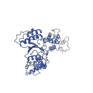 23755_7mca_E_v1-1
Structure of the S. cerevisiae origin recognition complex bound to the replication initiator Cdc6 and the ARS1 origin DNA.