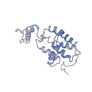 23755_7mca_F_v1-1
Structure of the S. cerevisiae origin recognition complex bound to the replication initiator Cdc6 and the ARS1 origin DNA.