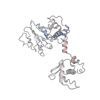 23755_7mca_I_v1-1
Structure of the S. cerevisiae origin recognition complex bound to the replication initiator Cdc6 and the ARS1 origin DNA.