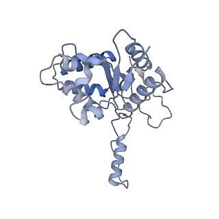 23757_7mcs_A_v1-1
Cryo-electron microscopy structure of TnsC(1-503)A225V bound to DNA