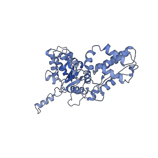 23757_7mcs_B_v1-1
Cryo-electron microscopy structure of TnsC(1-503)A225V bound to DNA