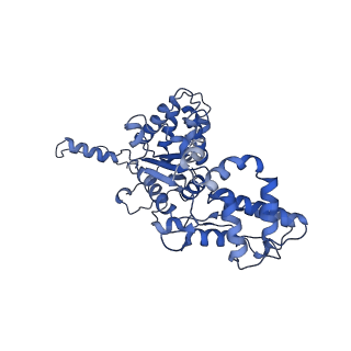 23757_7mcs_C_v1-1
Cryo-electron microscopy structure of TnsC(1-503)A225V bound to DNA