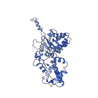 23757_7mcs_D_v1-1
Cryo-electron microscopy structure of TnsC(1-503)A225V bound to DNA