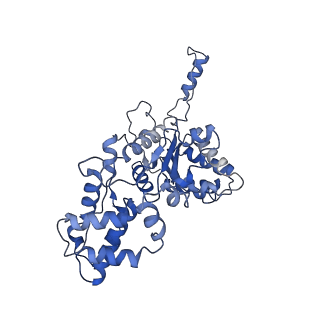 23757_7mcs_E_v1-1
Cryo-electron microscopy structure of TnsC(1-503)A225V bound to DNA