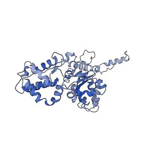 23757_7mcs_F_v1-1
Cryo-electron microscopy structure of TnsC(1-503)A225V bound to DNA