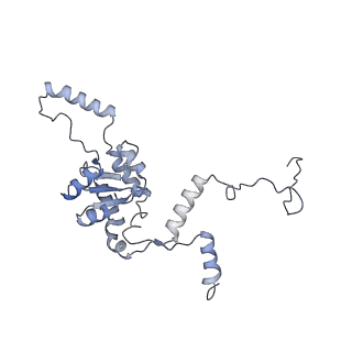 3461_5mc6_AA_v1-3
Cryo-EM structure of a native ribosome-Ski2-Ski3-Ski8 complex from S. cerevisiae