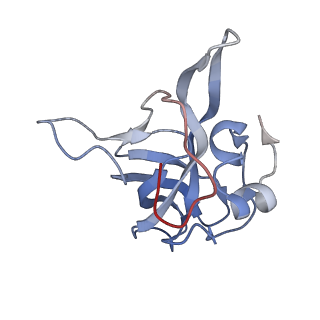 3461_5mc6_AB_v1-3
Cryo-EM structure of a native ribosome-Ski2-Ski3-Ski8 complex from S. cerevisiae
