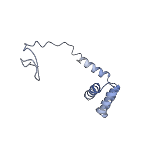 3461_5mc6_AC_v1-3
Cryo-EM structure of a native ribosome-Ski2-Ski3-Ski8 complex from S. cerevisiae