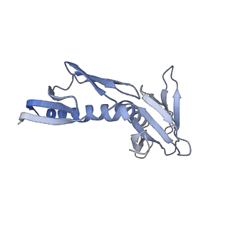 3461_5mc6_AD_v1-3
Cryo-EM structure of a native ribosome-Ski2-Ski3-Ski8 complex from S. cerevisiae