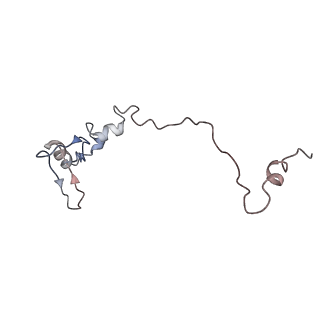 3461_5mc6_AE_v1-3
Cryo-EM structure of a native ribosome-Ski2-Ski3-Ski8 complex from S. cerevisiae