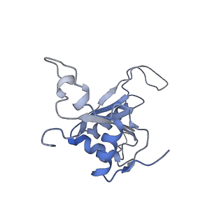 3461_5mc6_AG_v1-3
Cryo-EM structure of a native ribosome-Ski2-Ski3-Ski8 complex from S. cerevisiae