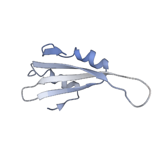 3461_5mc6_AI_v1-3
Cryo-EM structure of a native ribosome-Ski2-Ski3-Ski8 complex from S. cerevisiae