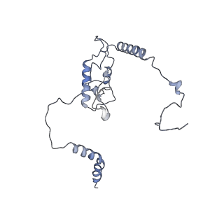 3461_5mc6_AJ_v1-3
Cryo-EM structure of a native ribosome-Ski2-Ski3-Ski8 complex from S. cerevisiae