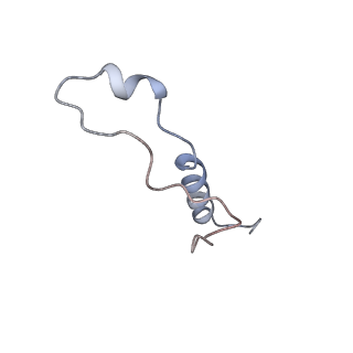 3461_5mc6_AL_v1-3
Cryo-EM structure of a native ribosome-Ski2-Ski3-Ski8 complex from S. cerevisiae